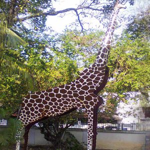 Playground equipment manufacturers and suppliers in Palakkad